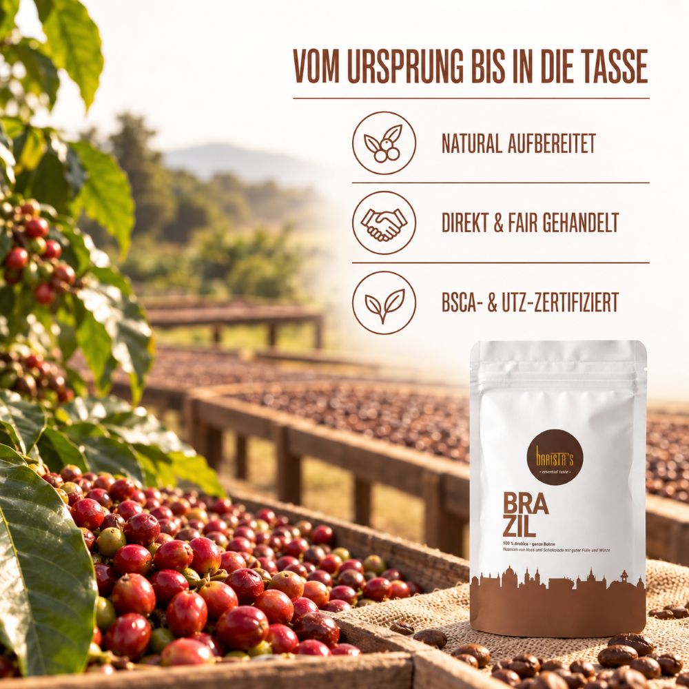 Baristas Brazil 250g – Bild 4