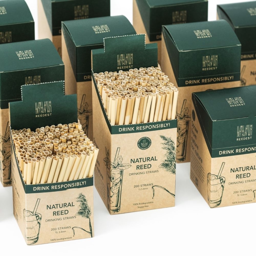 Reedest Trinkröhrl Schilf 6-9 mm Länge 15cm