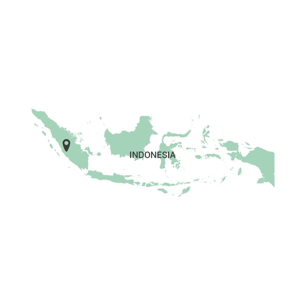Pedron Indonesia Kerinci 250g – Bild 3